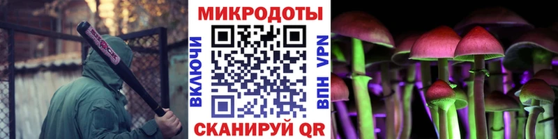 Галлюциногенные грибы Cubensis  Купить  Ува 